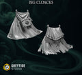 Lions Pride Big Cloaks