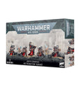 52-25 Adepta Sororitas; Retributor Squad